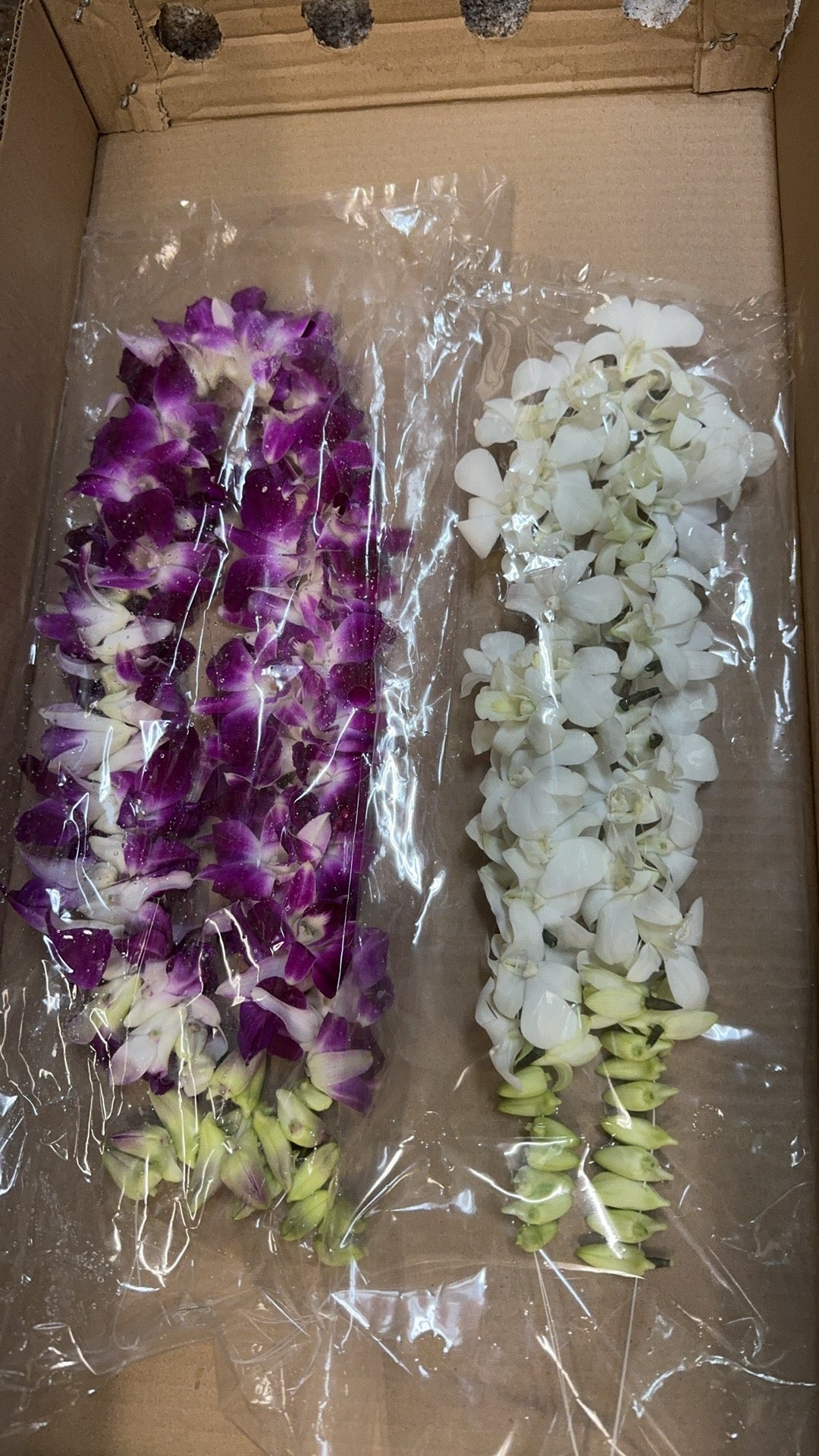 Orchid Necklace