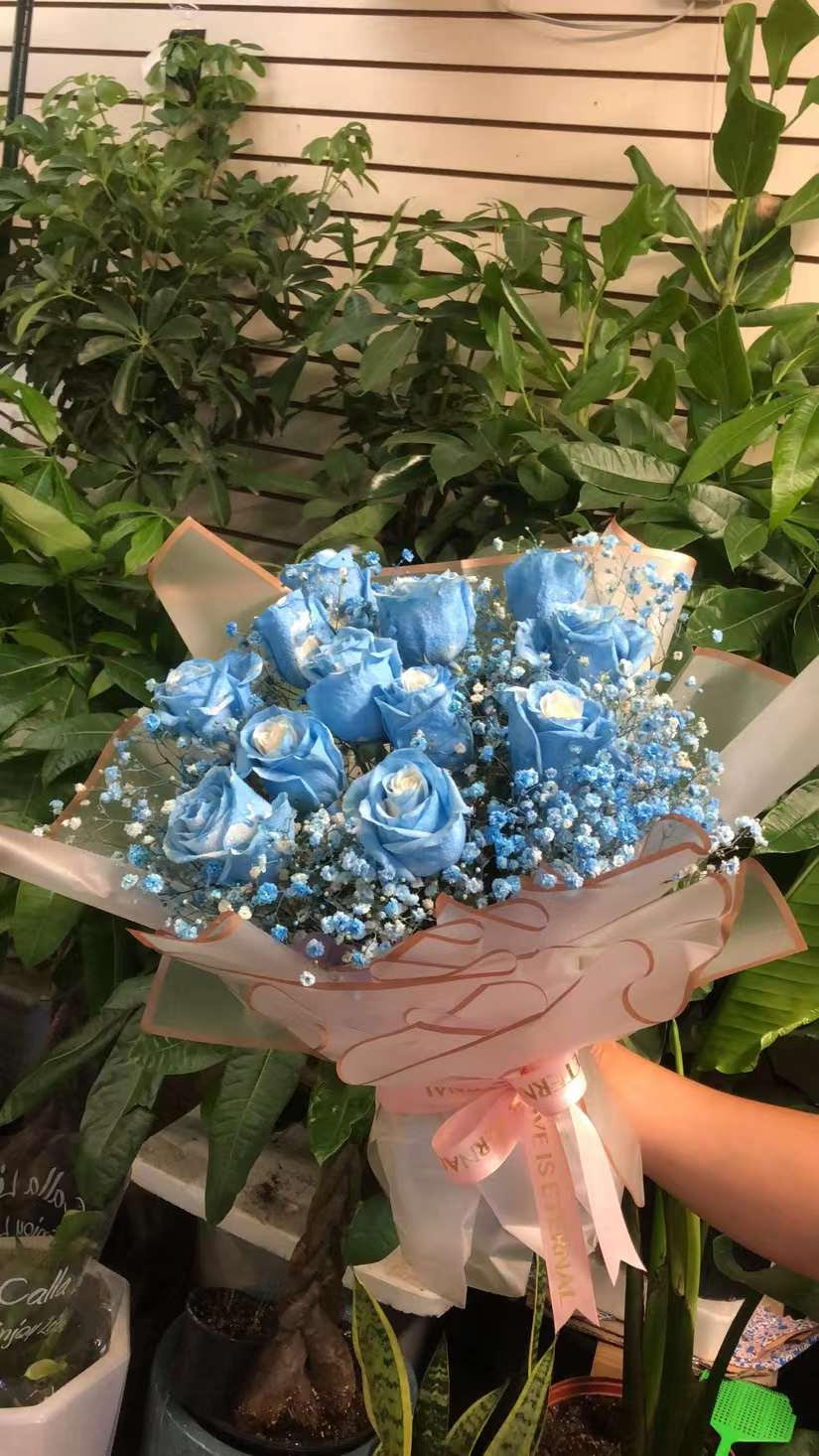 BLUE ROSE