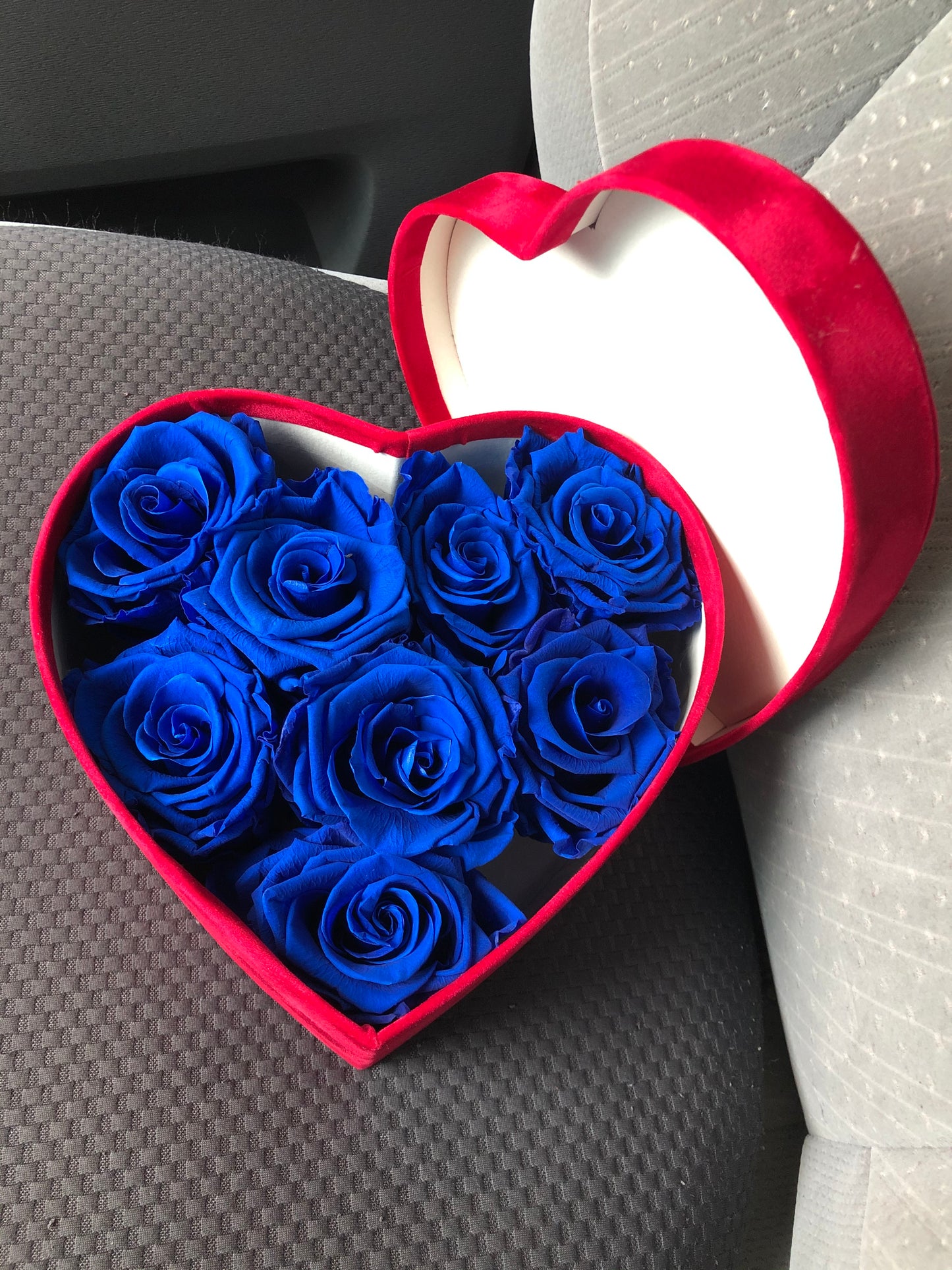 BLUE ROSE