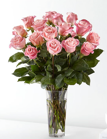 E5440D Long Stem Pink Rose Bouquet 18