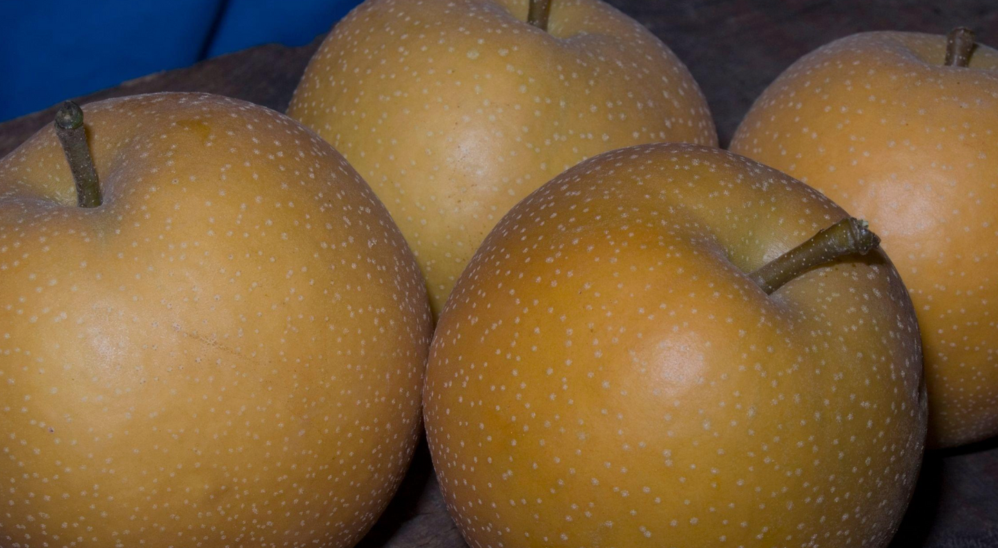 Pear-Shinko