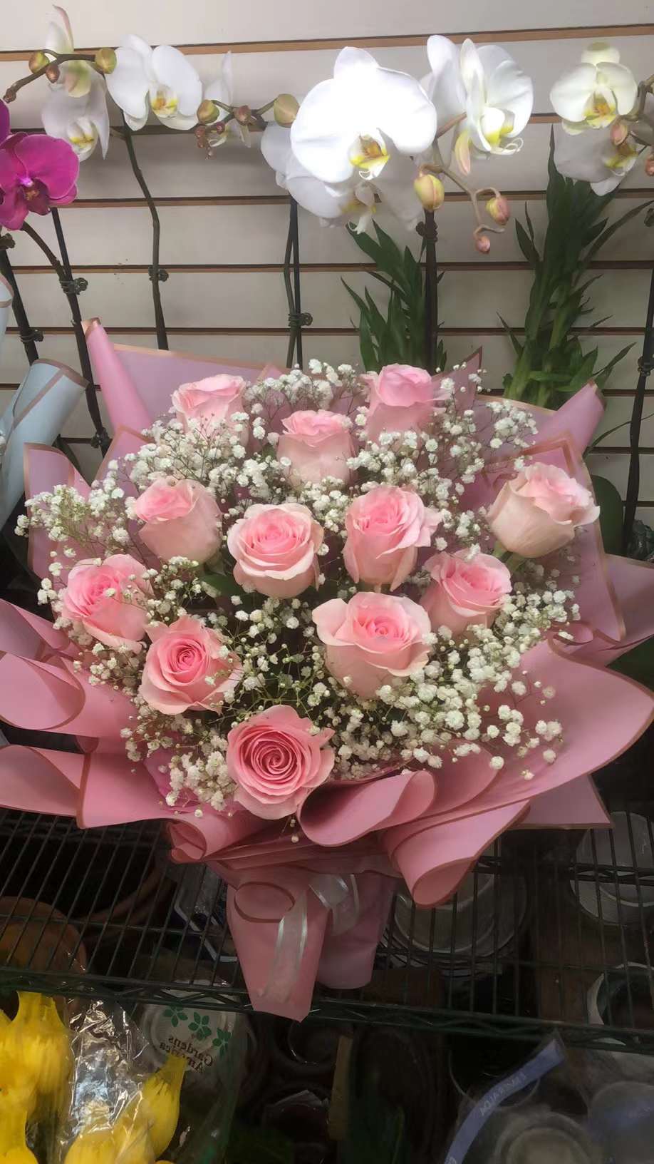 PINK ROSE