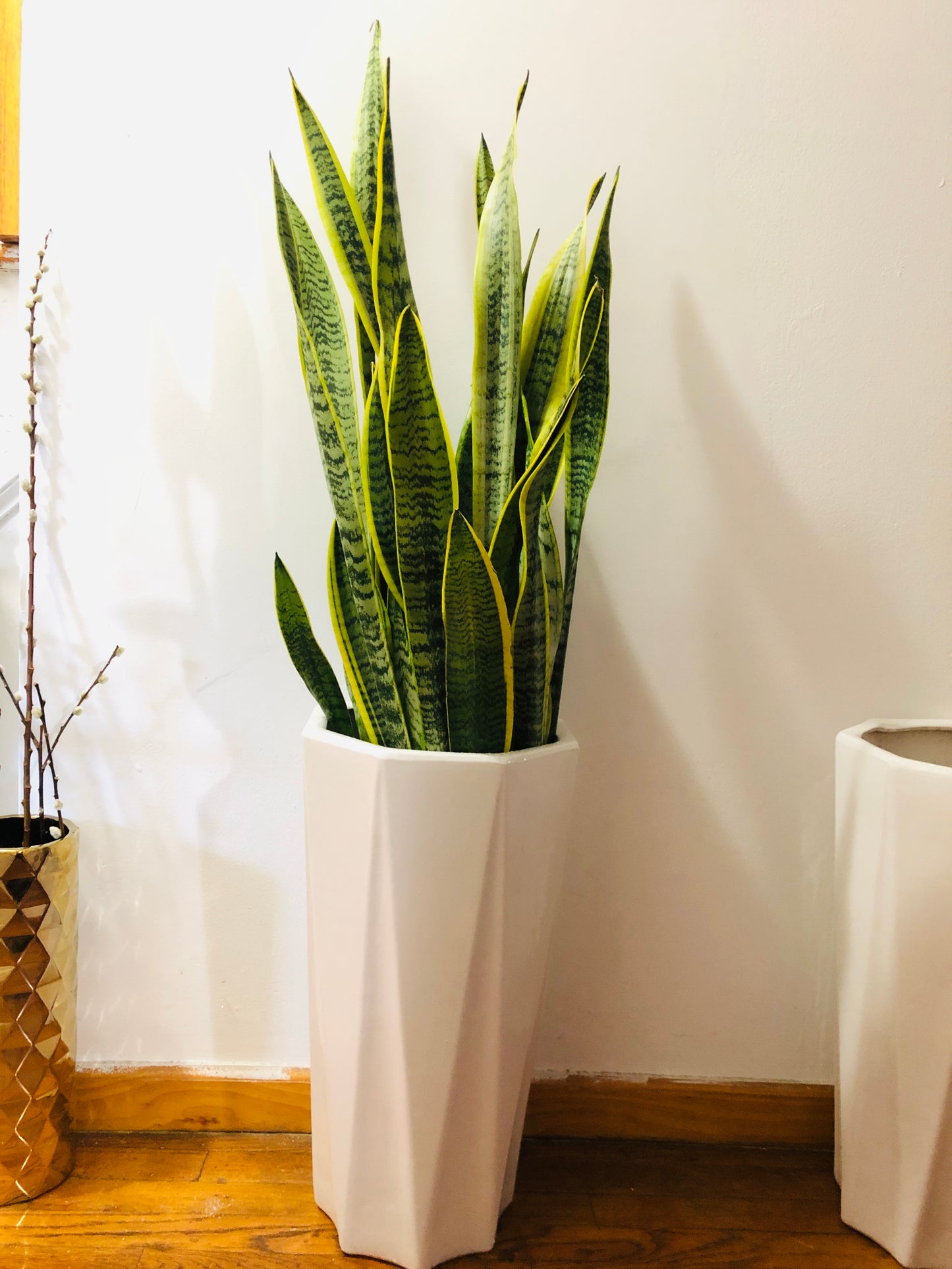 22" 6 Angular White 2 Sets