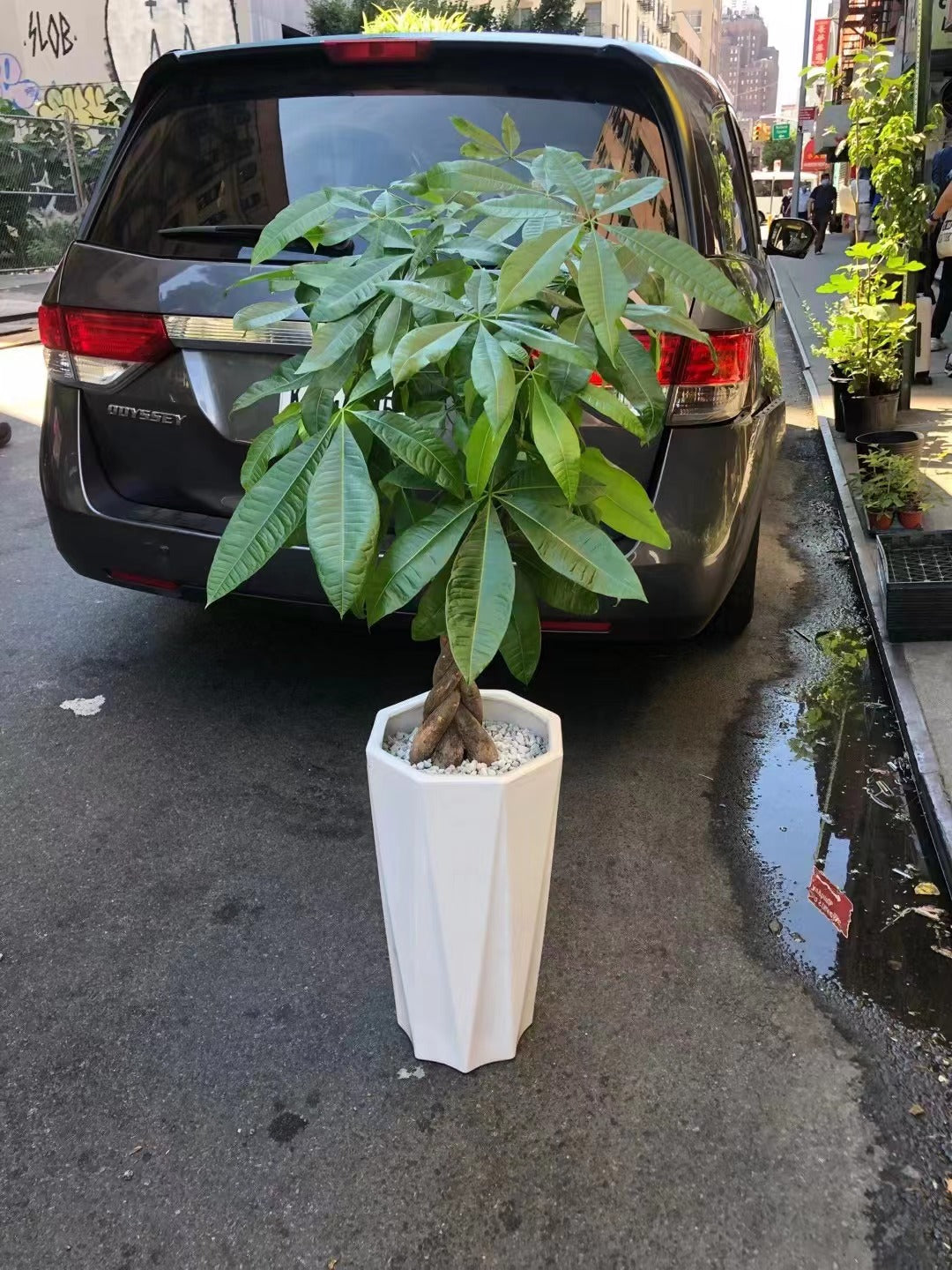 22" 6 Angular White 2 Sets