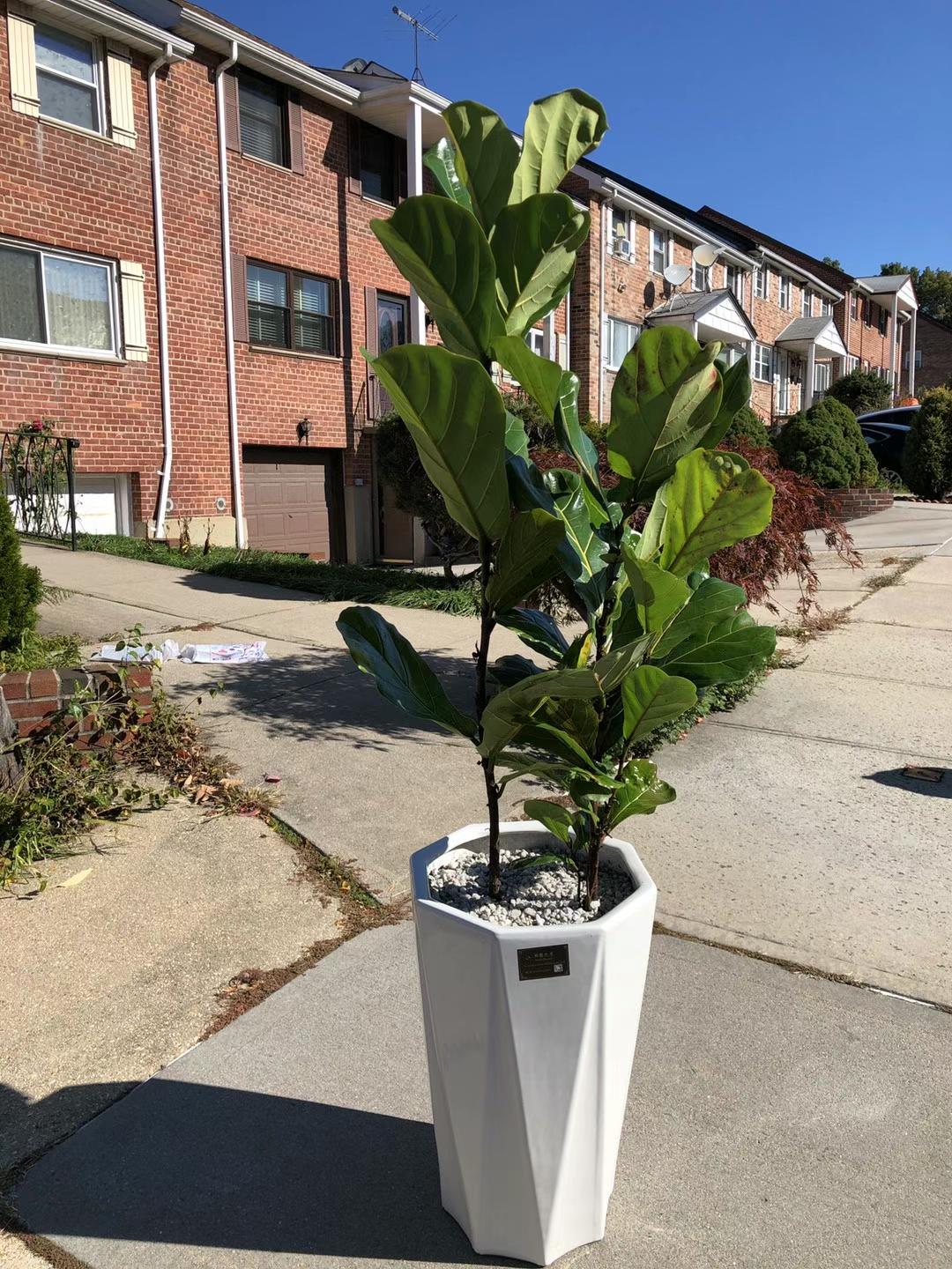 22" 6 Angular White 2 Sets