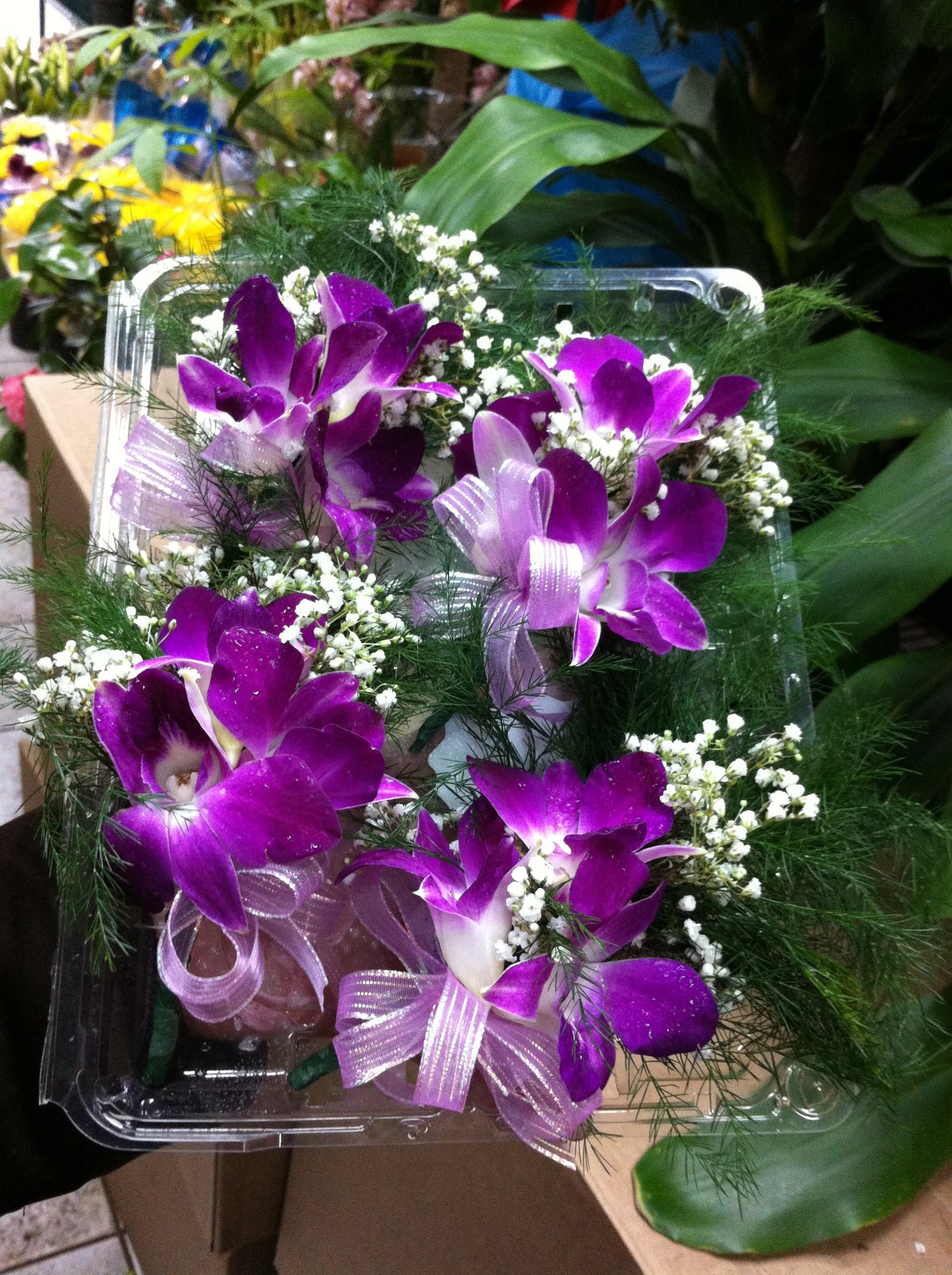 Corsage Orchid-Chest or Hand