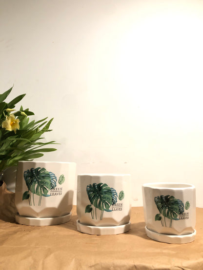 8" Monstera Pot 3 Sets