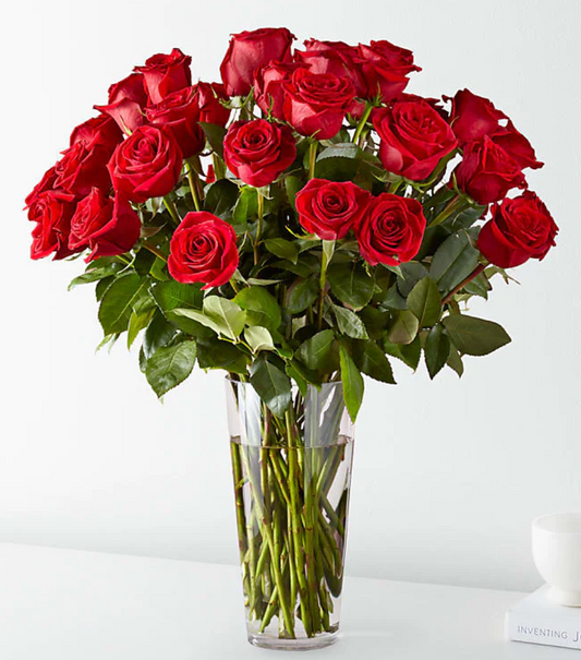 B59P Long Stem Red Rose Bouquet 24