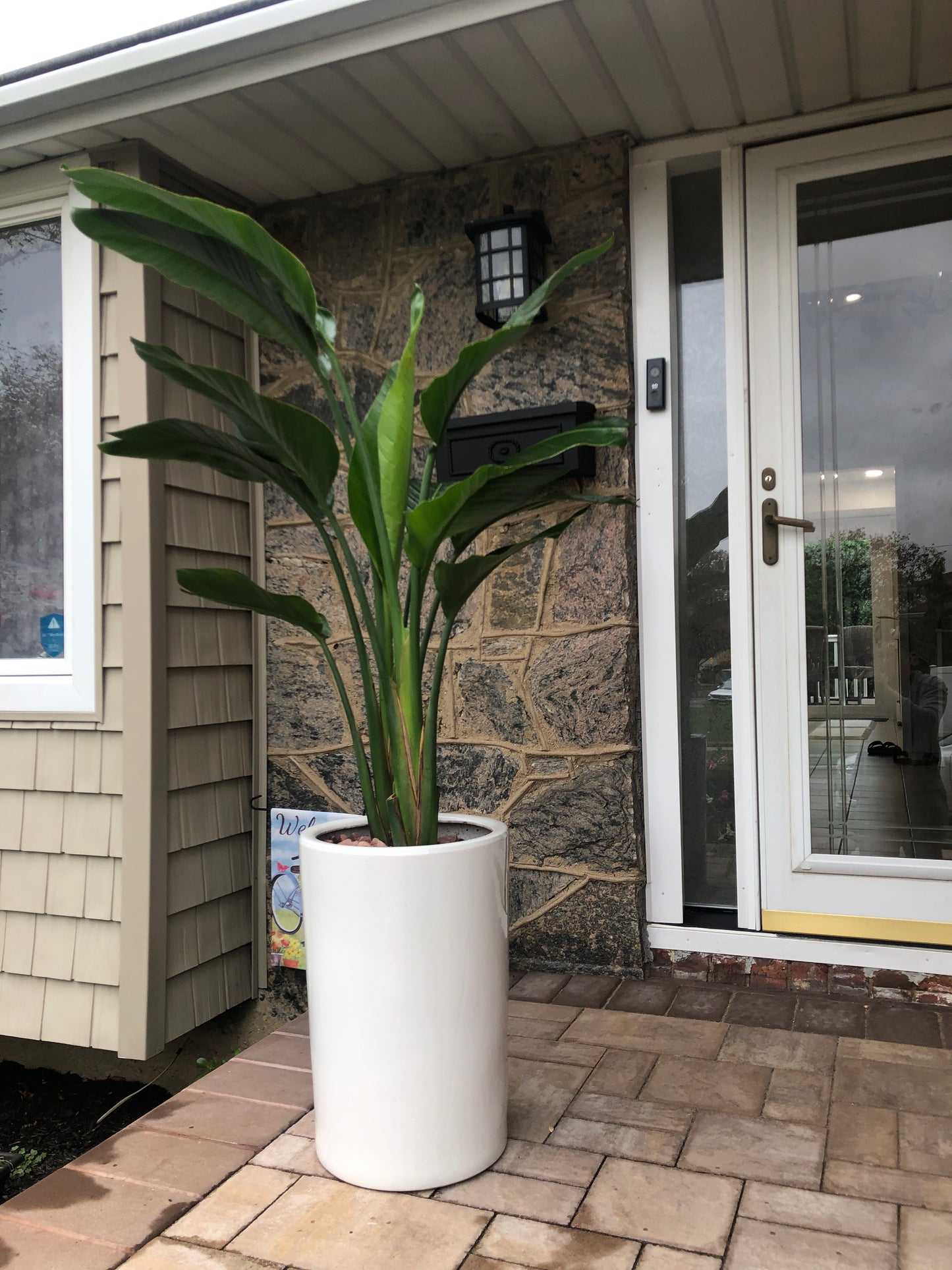 BIRD PARADISE 10" with Big pot