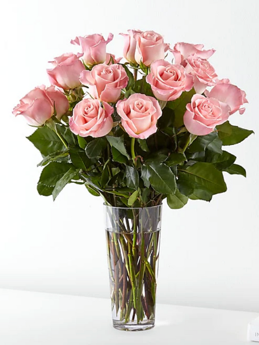 E5440D Long Stem Pink Rose Bouquet 18