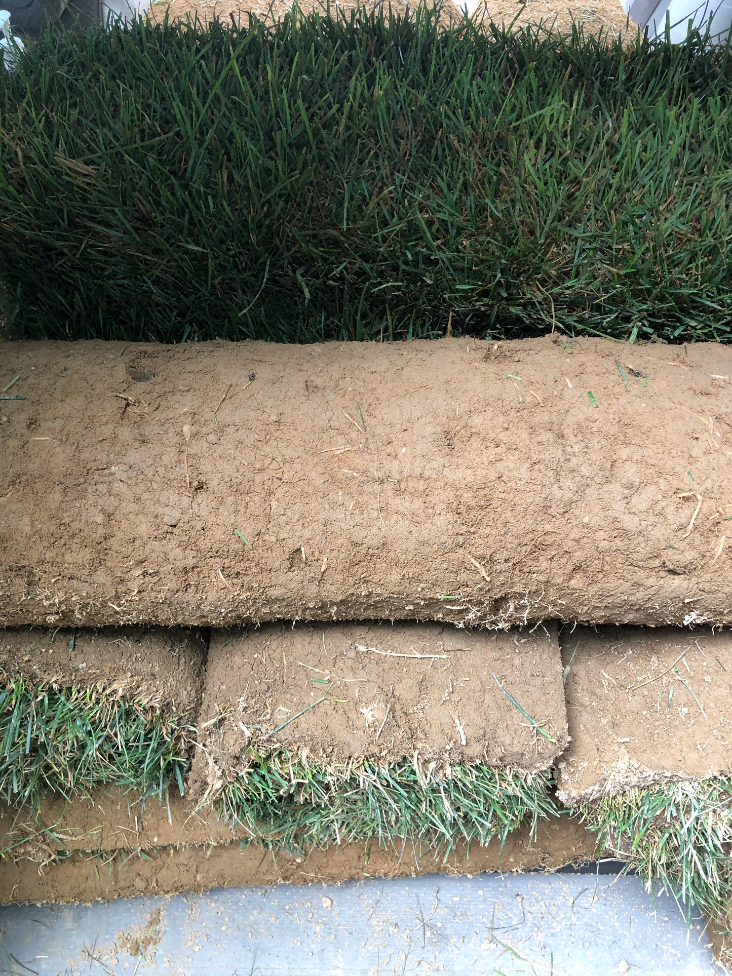 SOD, LAWN & GARDEN DESIGN
