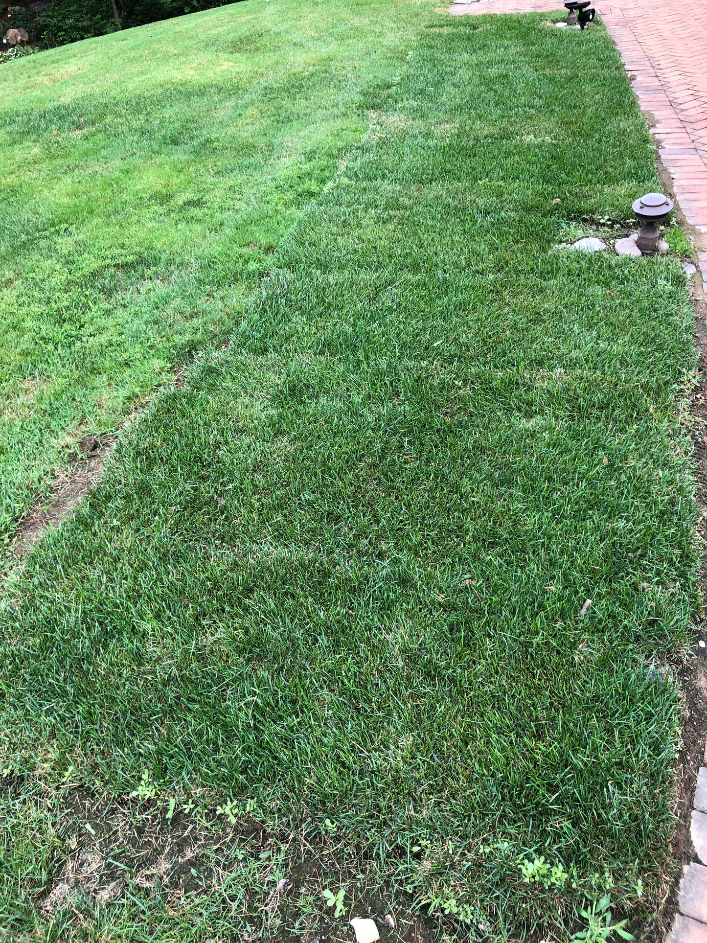 SOD, LAWN & GARDEN DESIGN