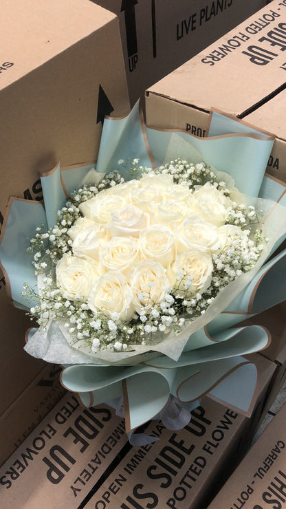 WHITE ROSE