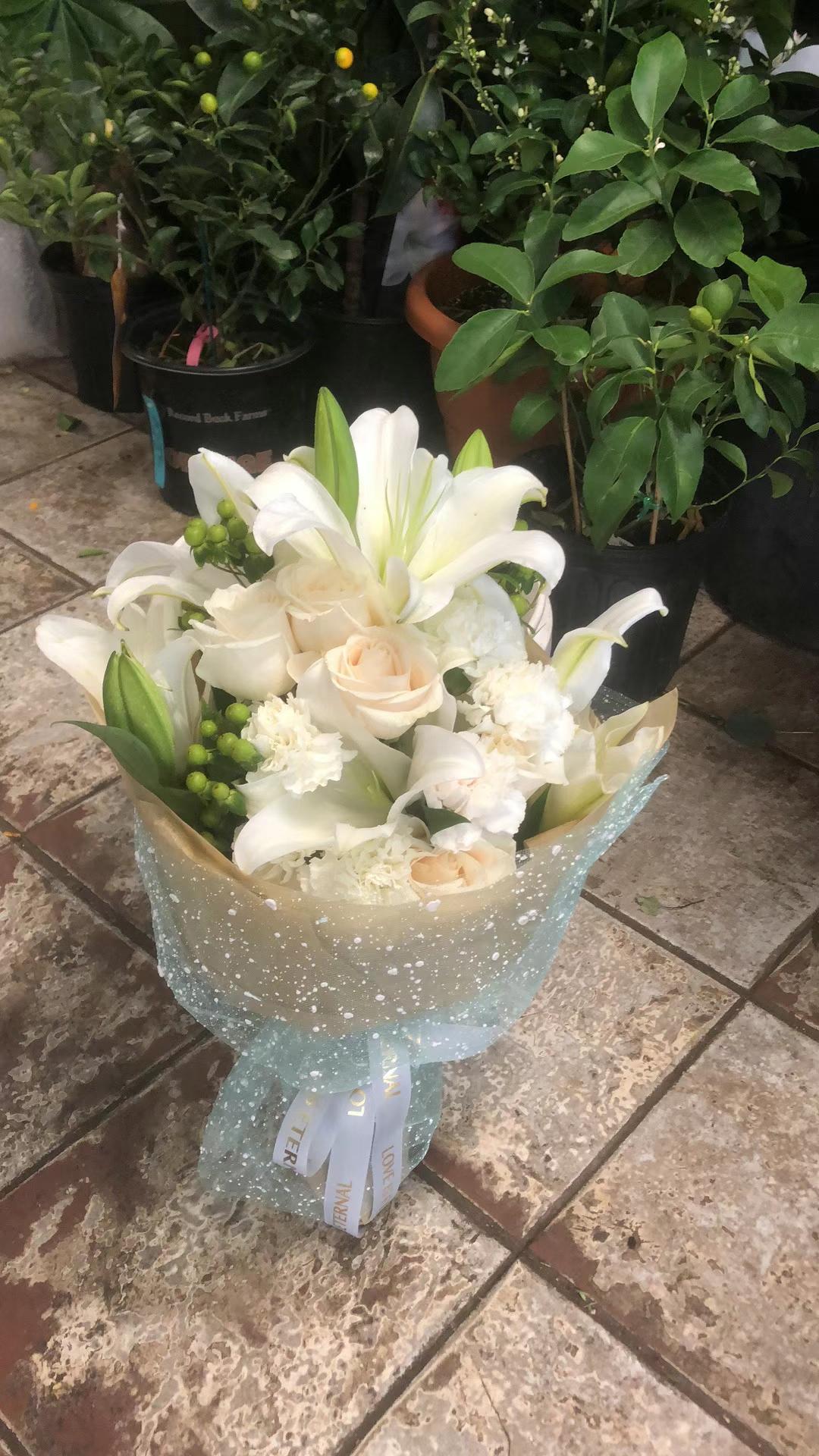 白玫瑰