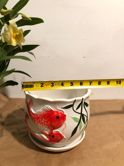 6.5" Red Fish Pots